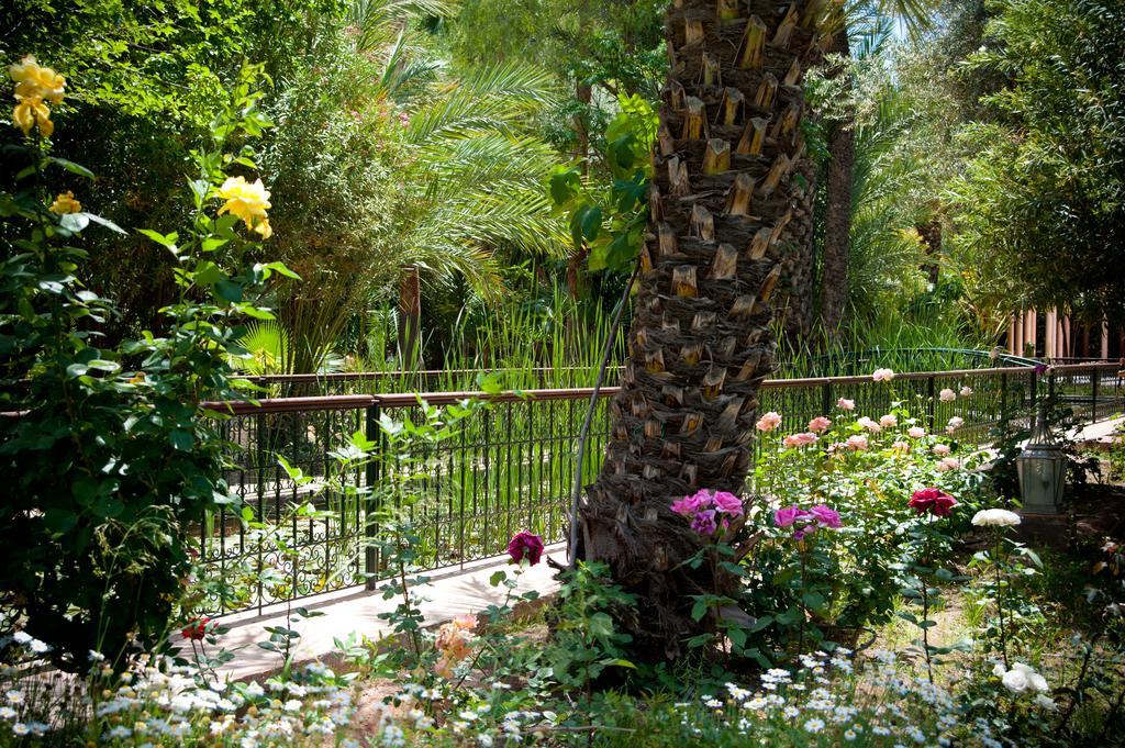 Dar Ayniwen Garden Hotel & Bird Zoo Marrákes Kültér fotó