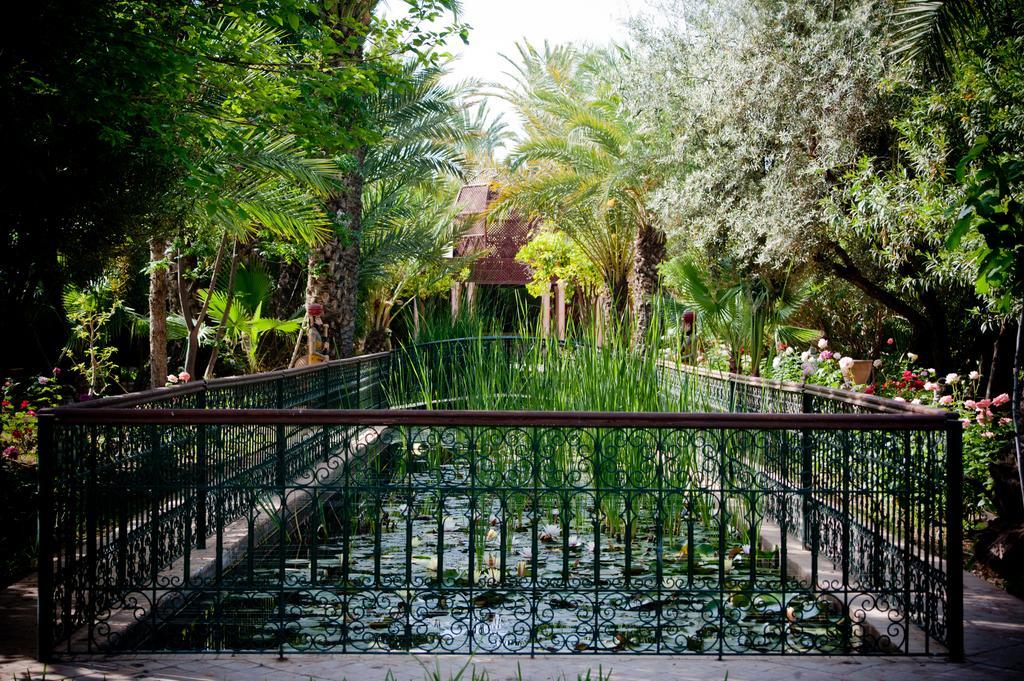 Dar Ayniwen Garden Hotel & Bird Zoo Marrákes Kültér fotó