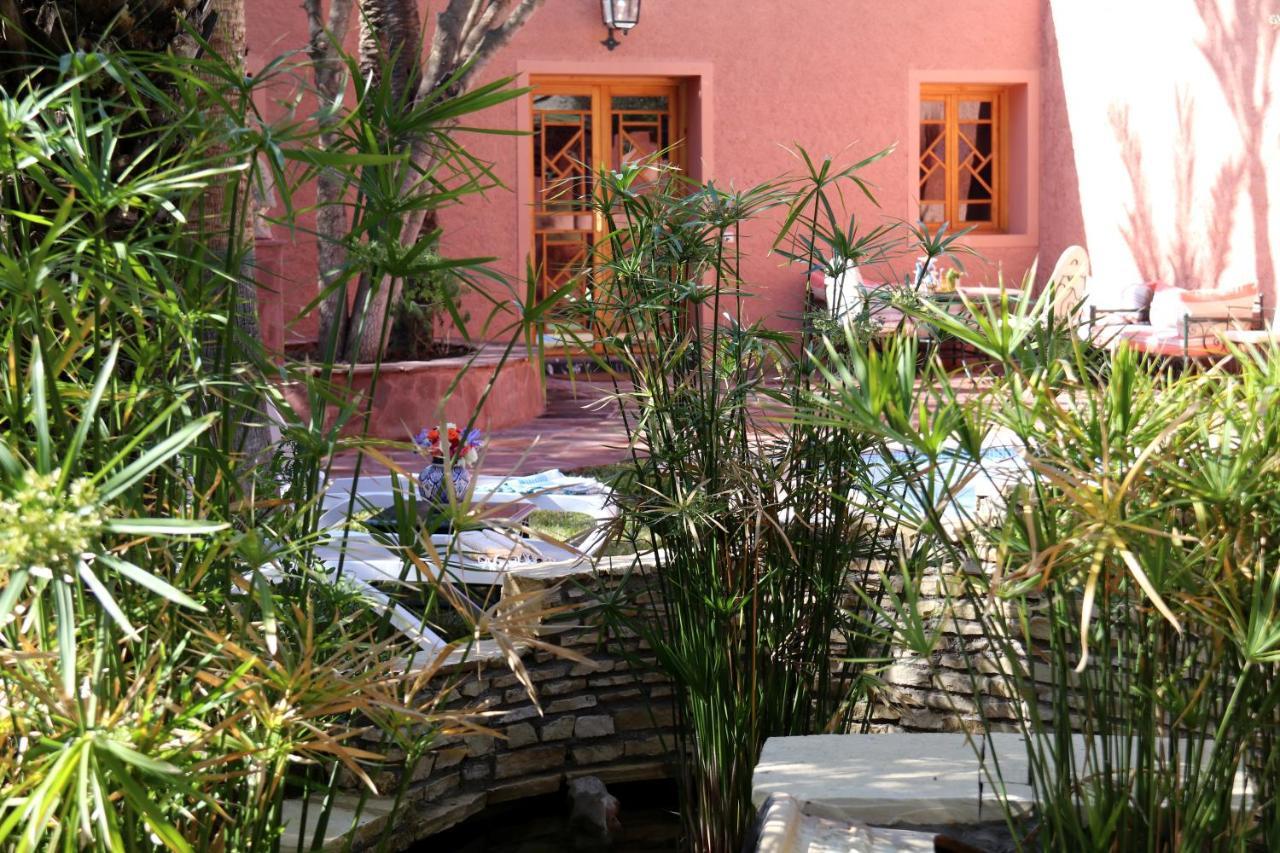 Dar Ayniwen Garden Hotel & Bird Zoo Marrákes Kültér fotó